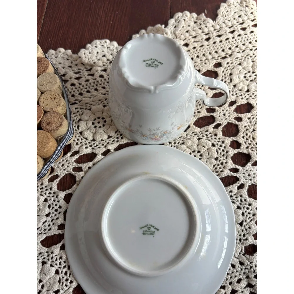 Johann Haviland Bavaria Blue Garland Tea Cup and Saucer Set Silver‎ Trim Germany